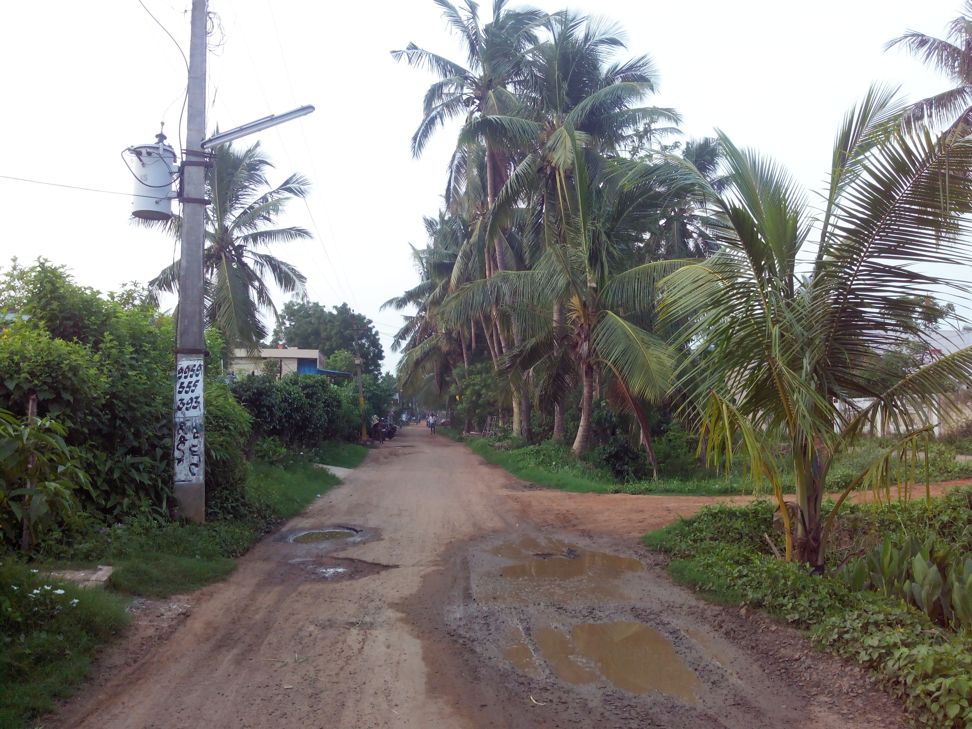 Putlacheruvu New Colony Main Road