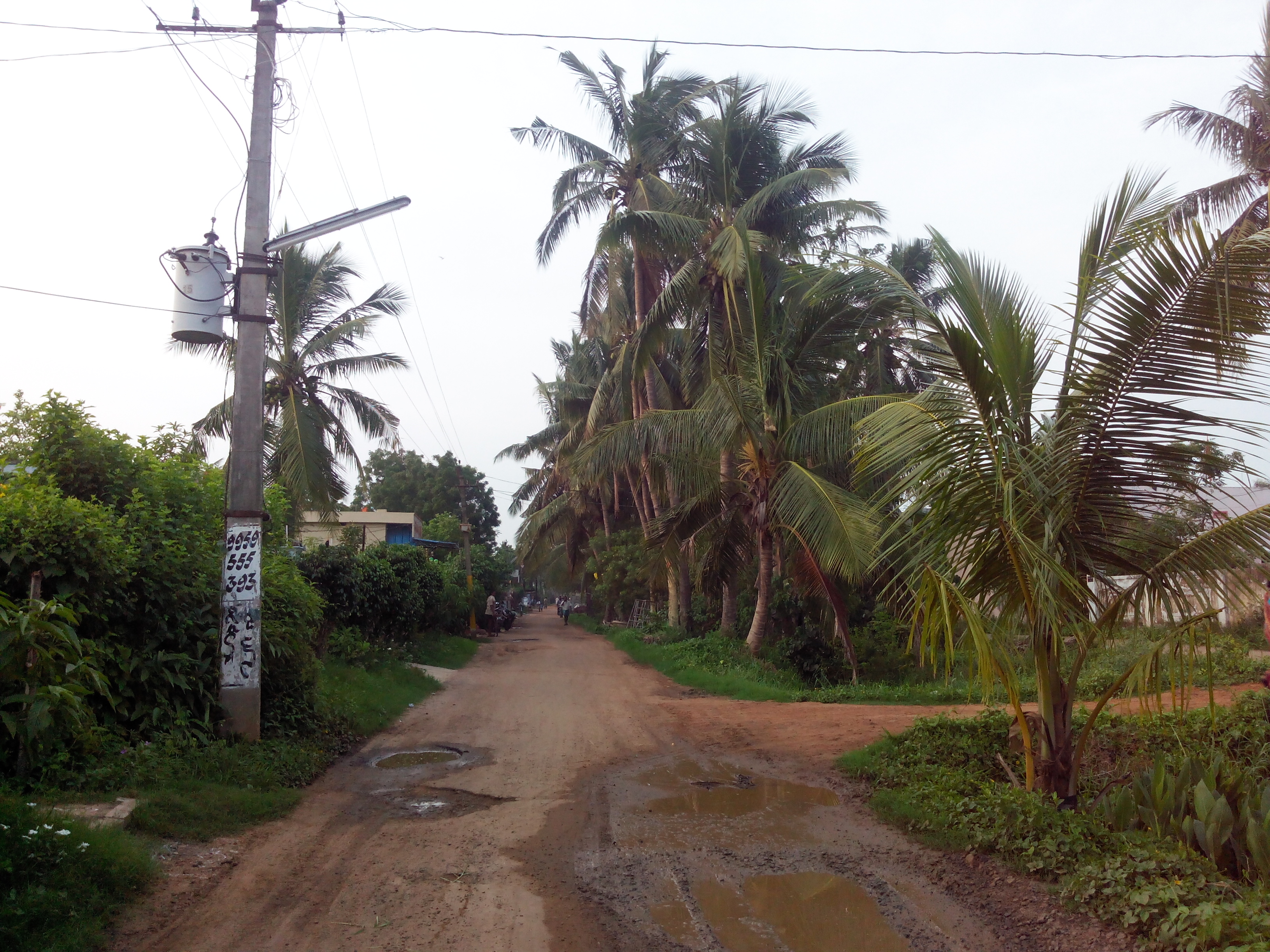 Putlacheruvu New Colony Main Road