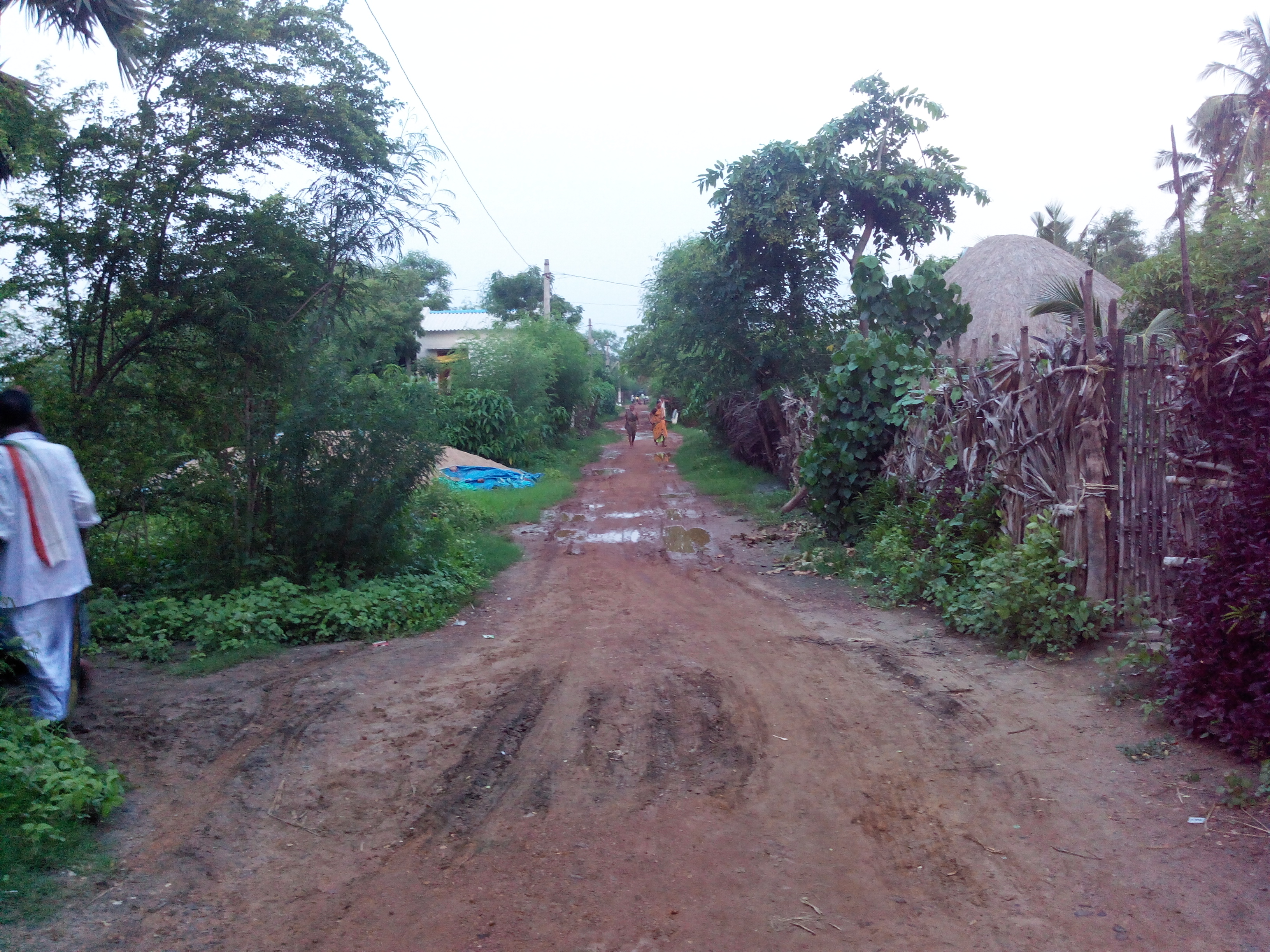 Putlacheruvu New Colony Main Road