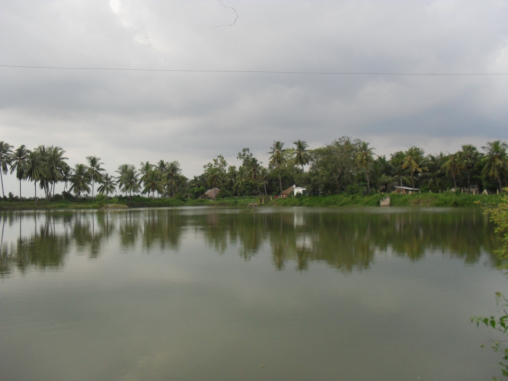 Putlacheruvu Pure Water Pond