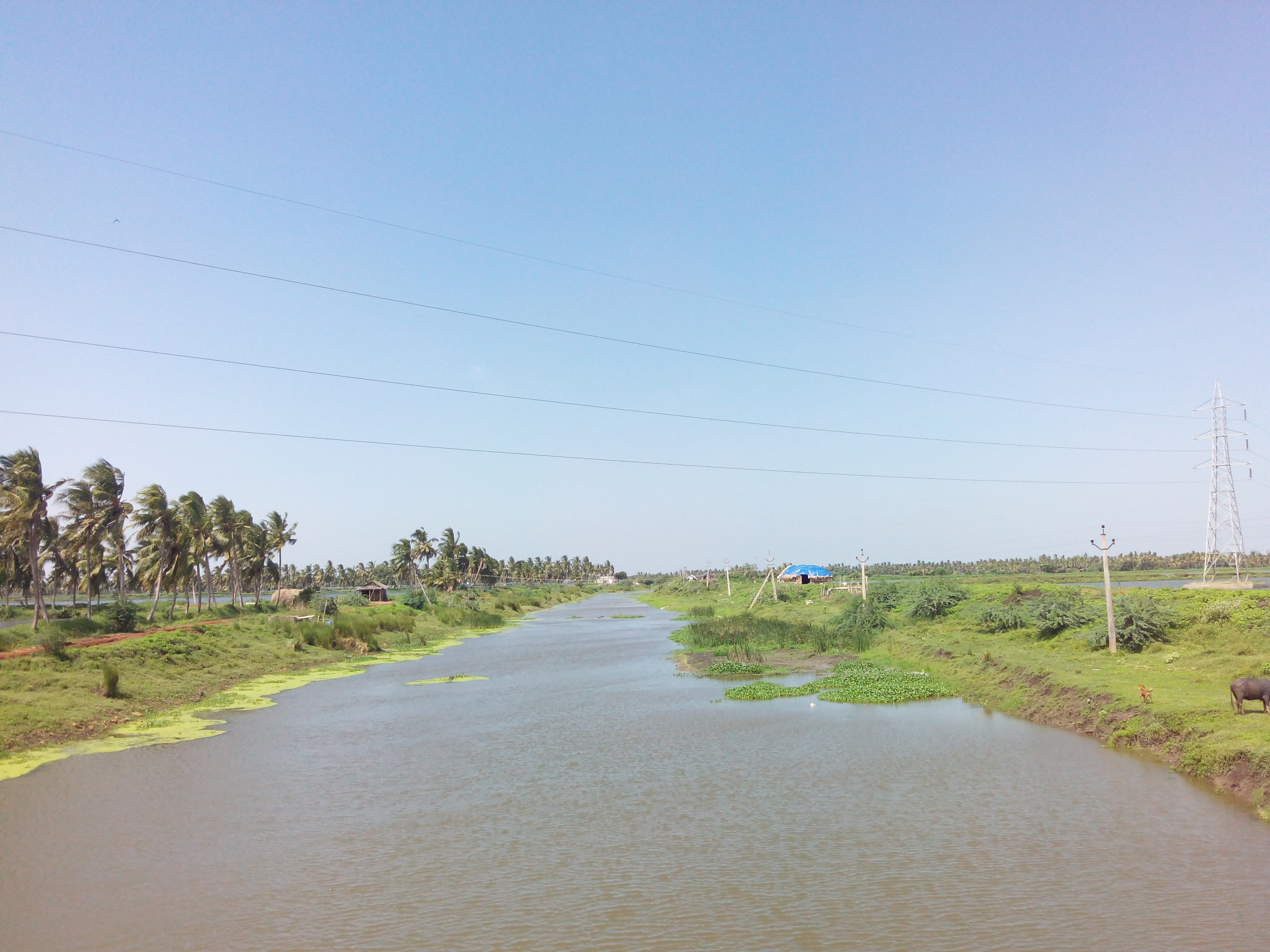 Putlacheruvu Big Canal - Pedda Muriki Kaluva