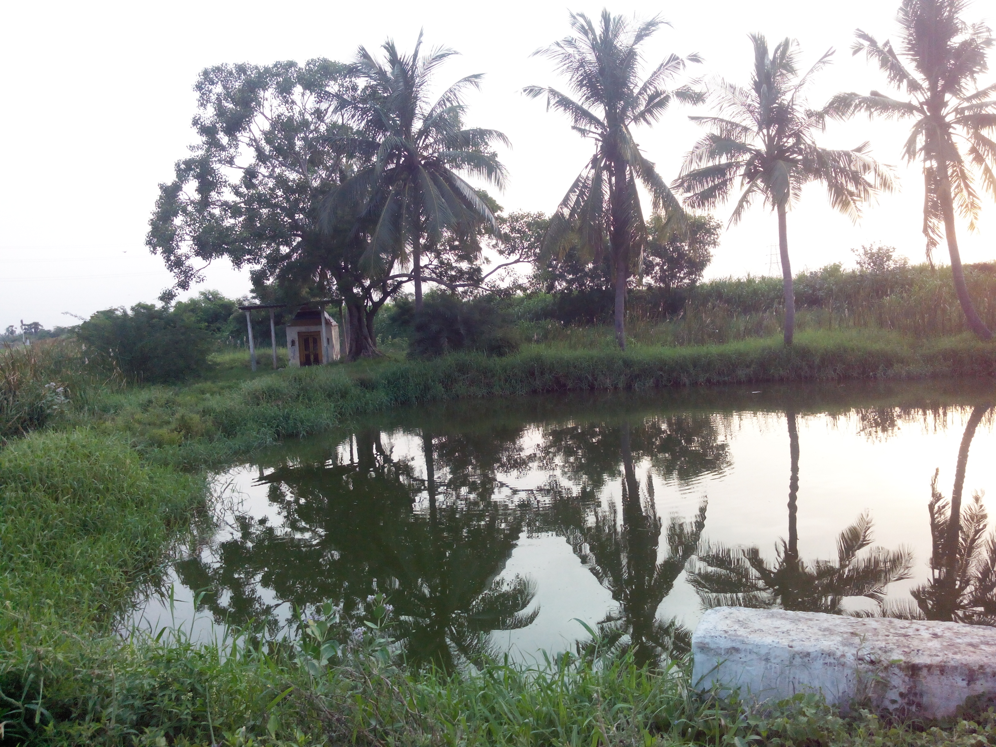 Putlacheruvu Gangalama Gudi and Pond Near South Railway Gate