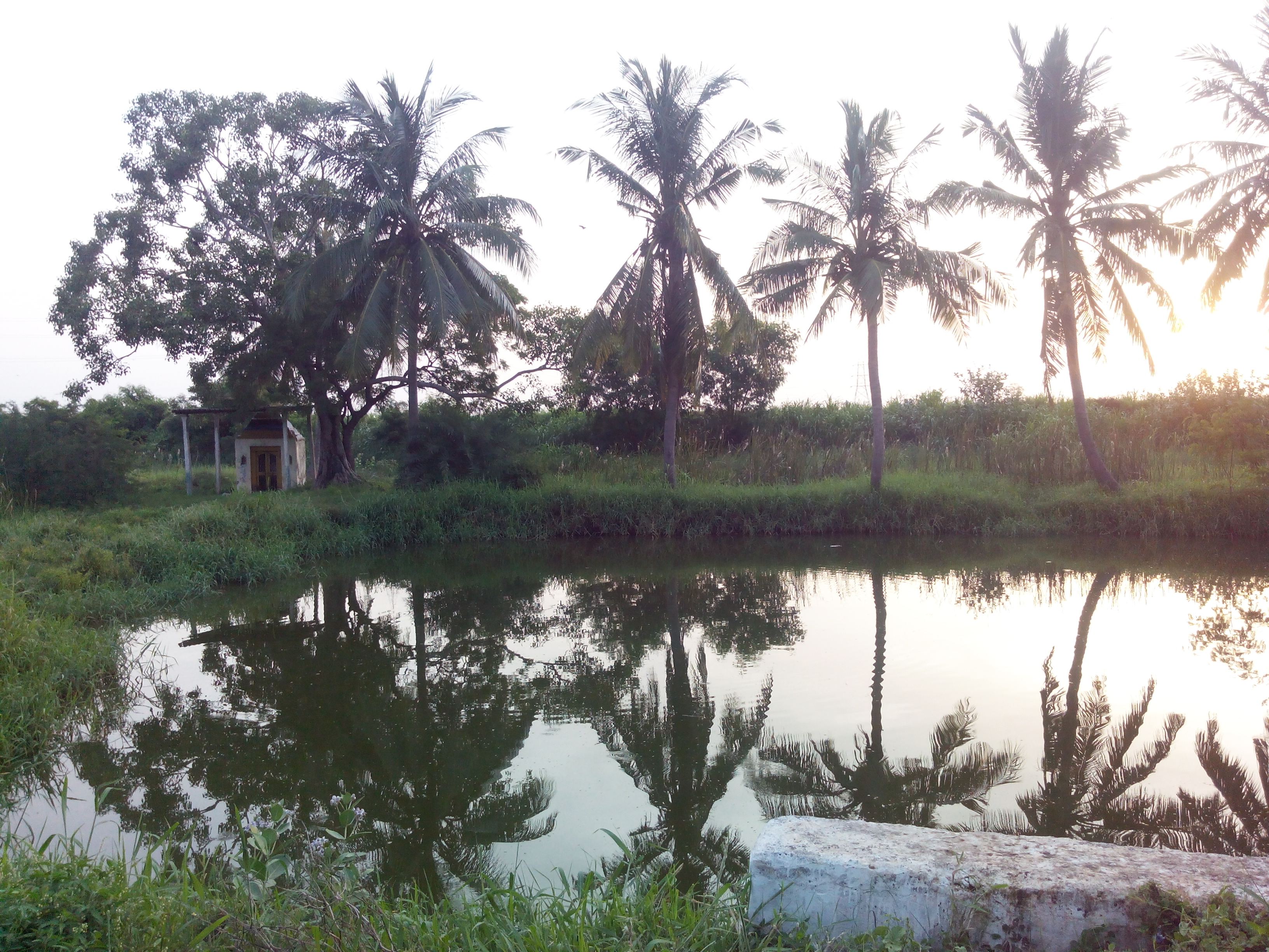 Putlacheruvu Gangalama Gudi and Pond Near South Railway Gate