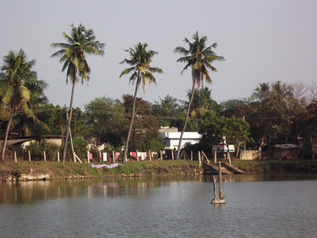 Putlacheruvu Pedda Cheruvu