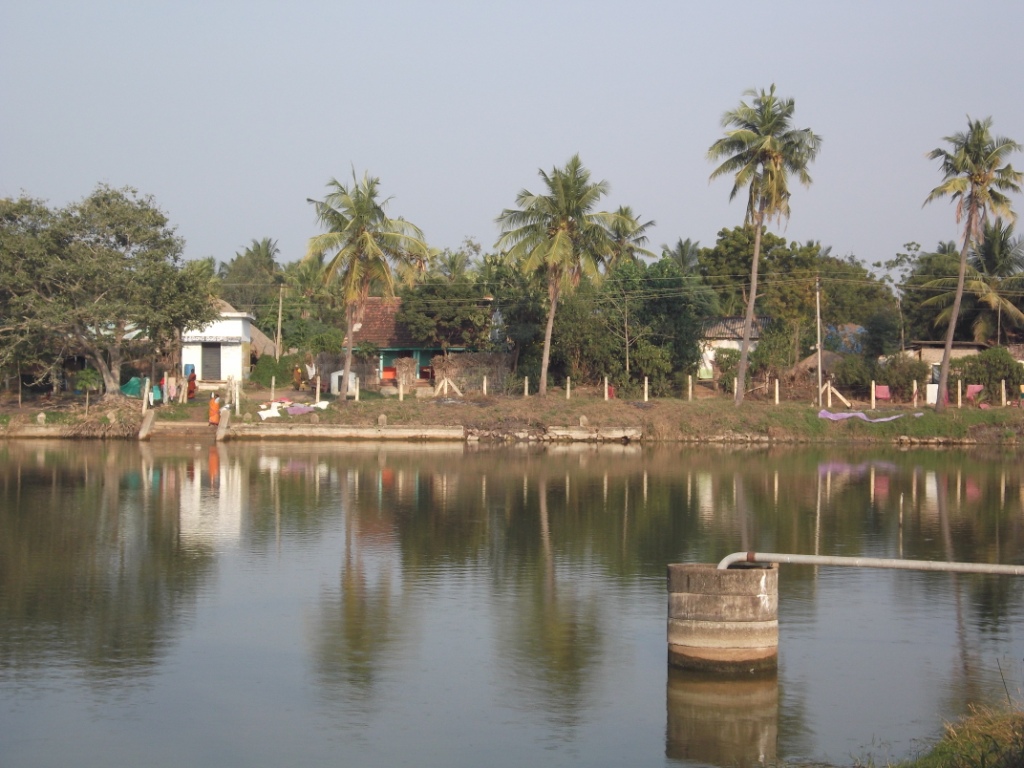 Putlacheruvu Pedda Cheruvu