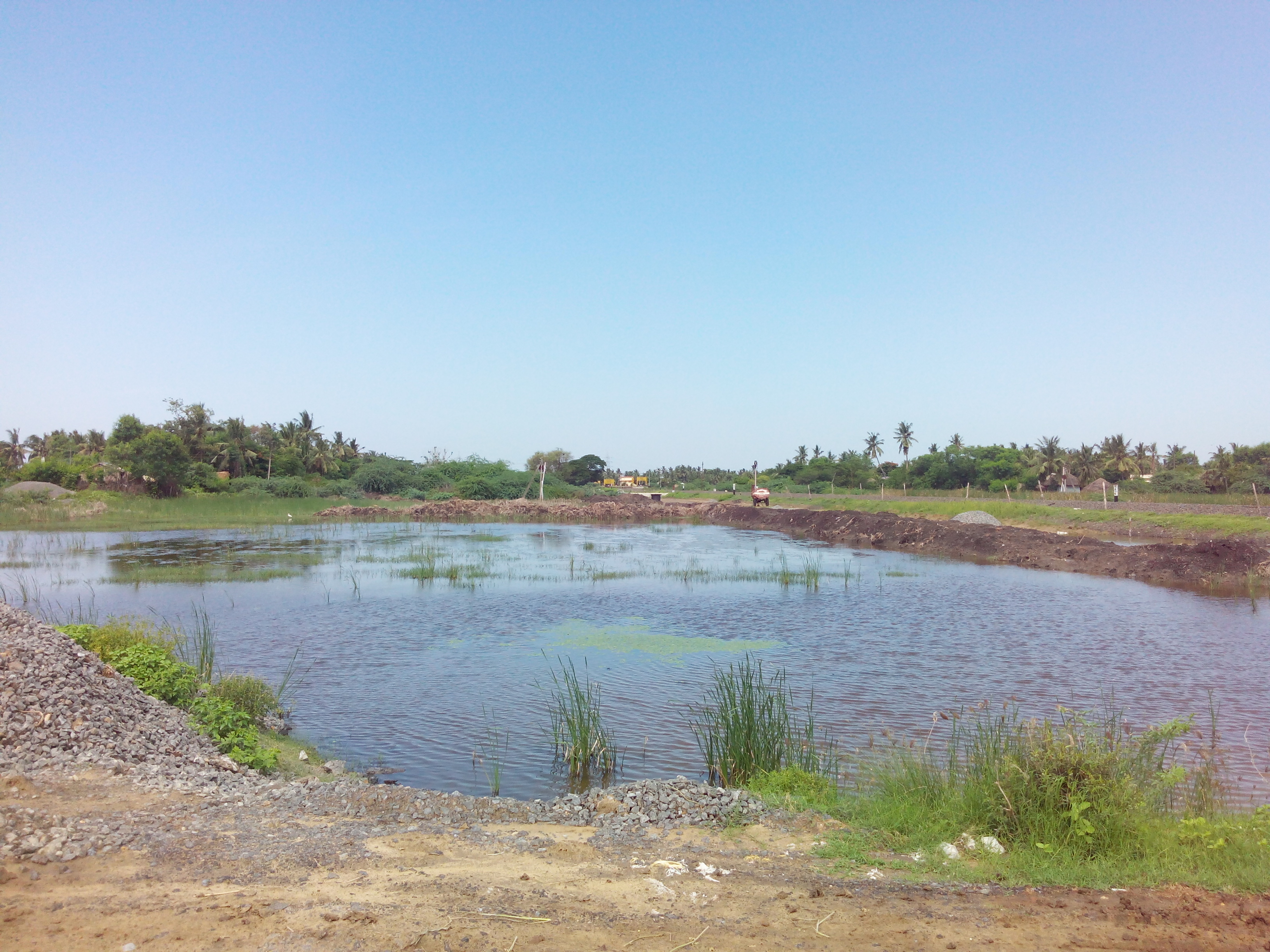 Putlacheruvu Fish Tanks