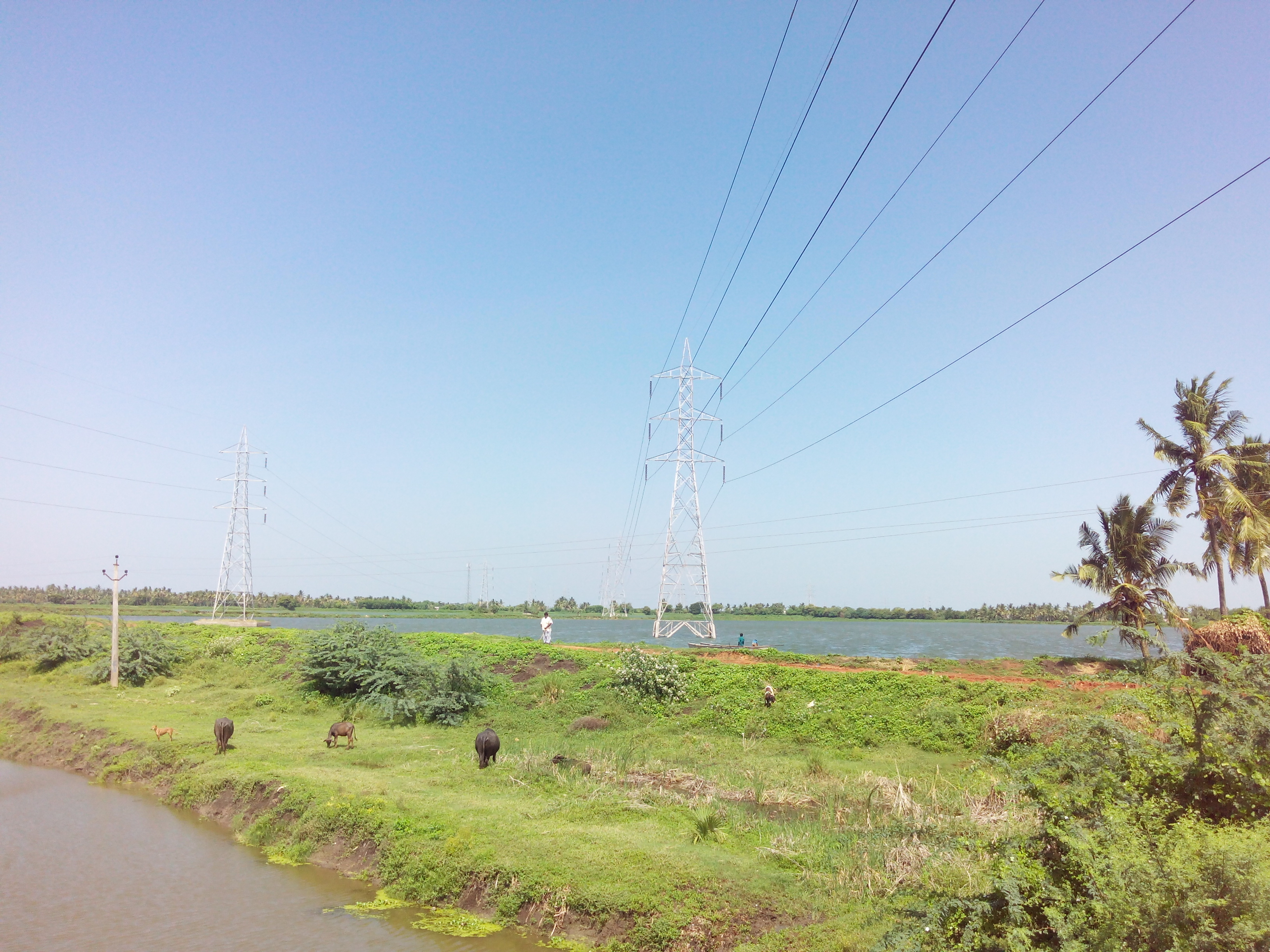 Putlacheruvu Fish Tanks