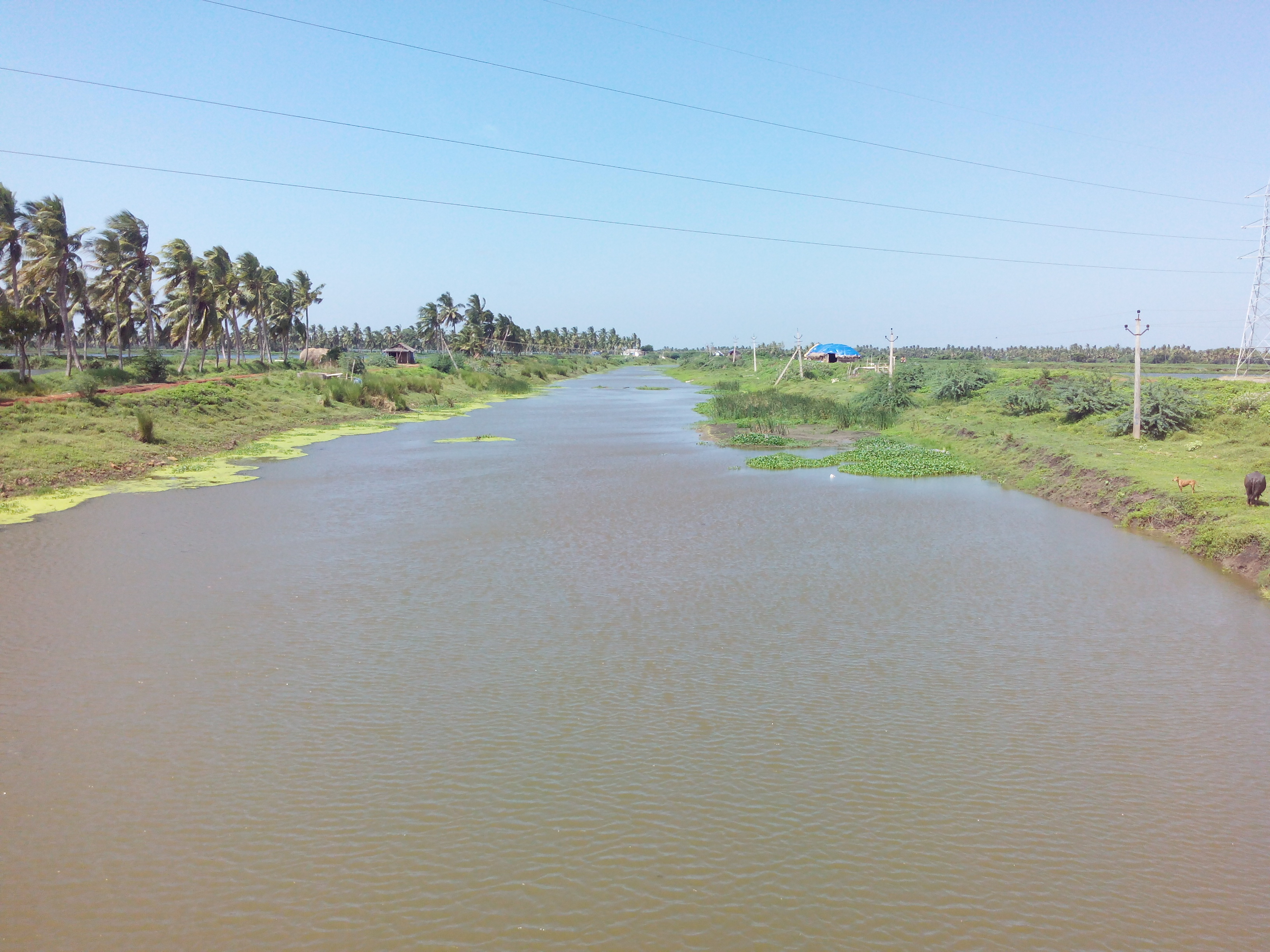 Putlacheruvu Big Canal - Pedda Muriki Kaluva