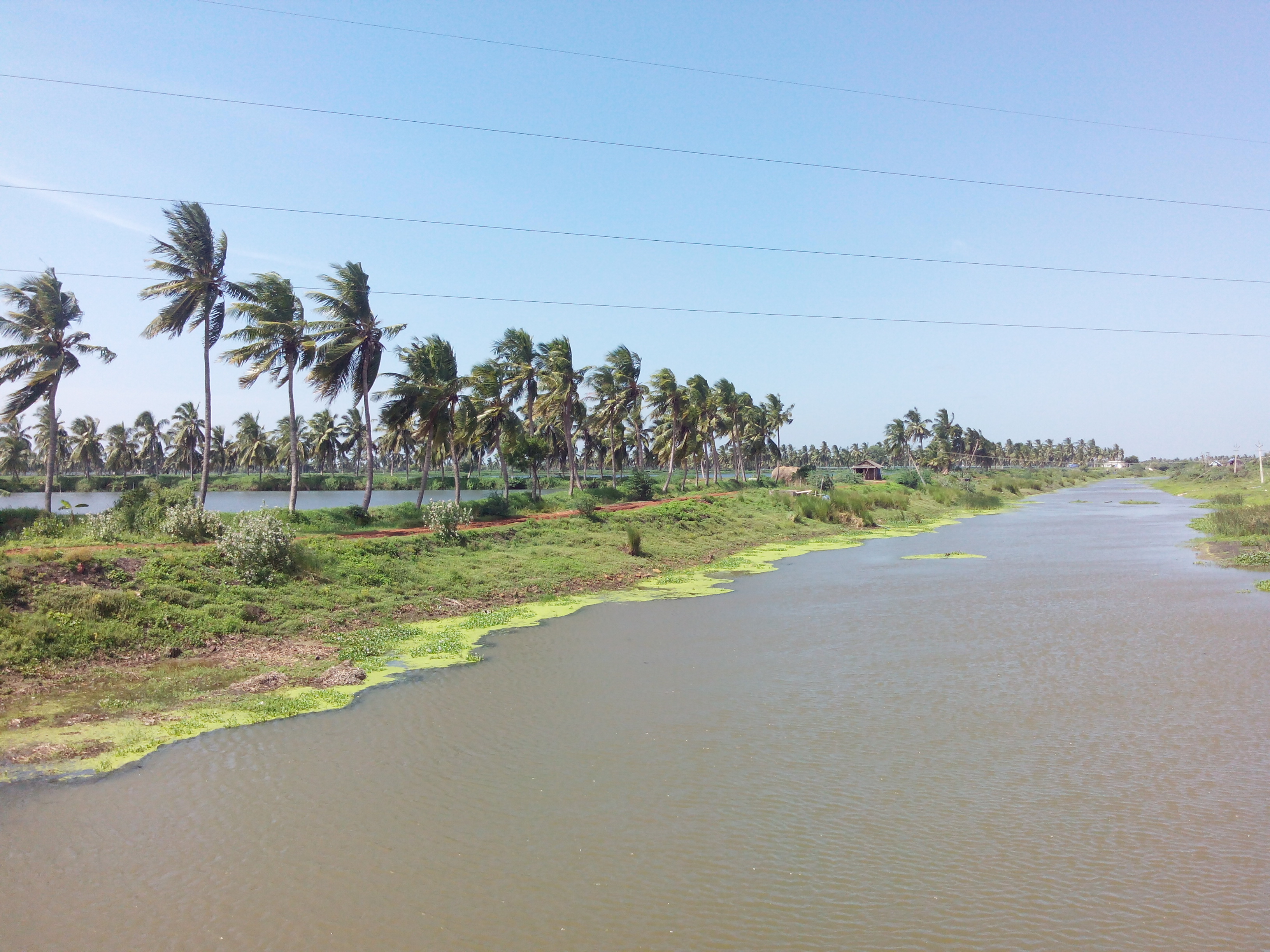 Putlacheruvu Big Canal - Pedda Muriki Kaluva