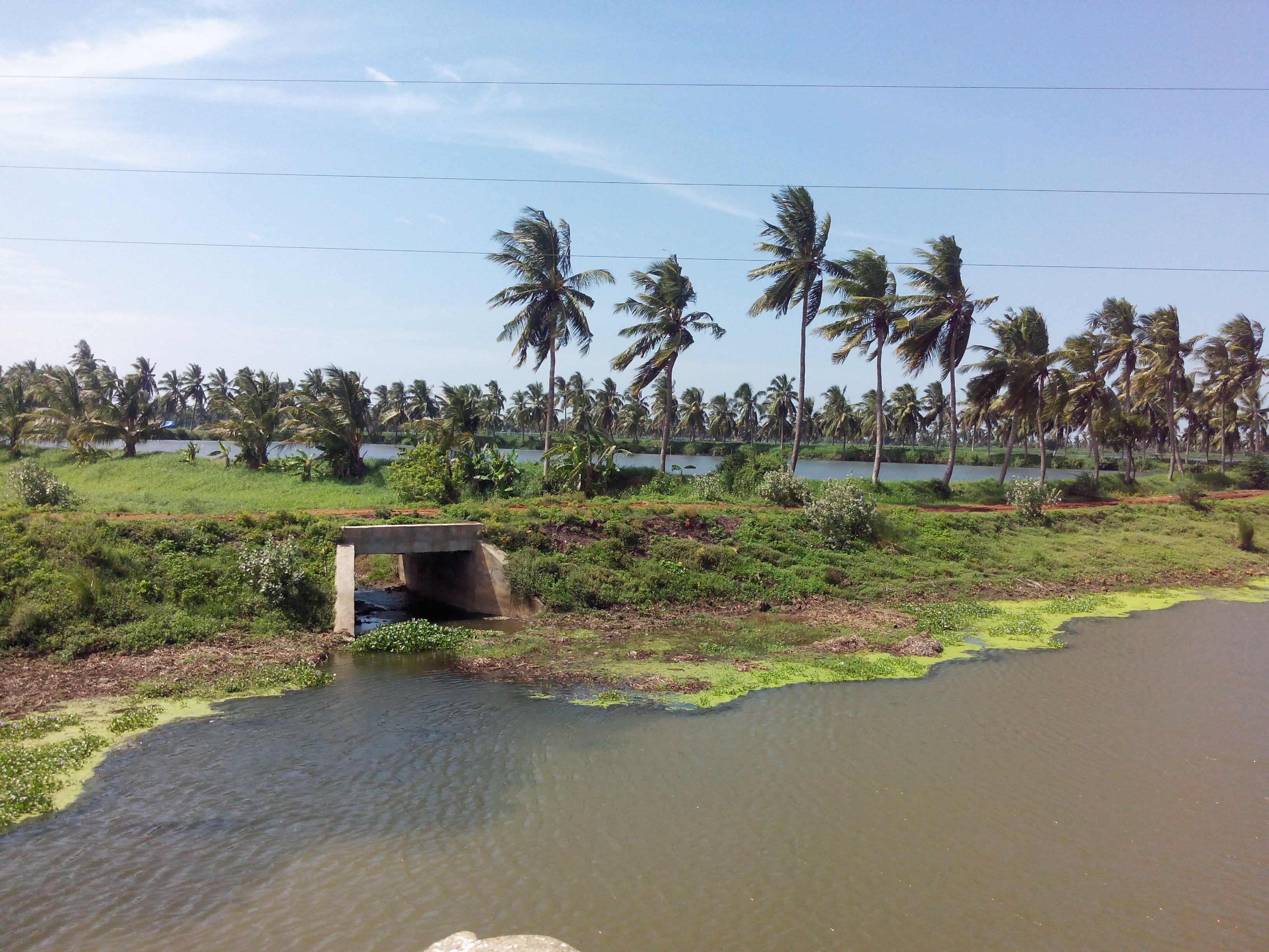 Putlacheruvu Big Canal - Pedda Muriki Kaluva