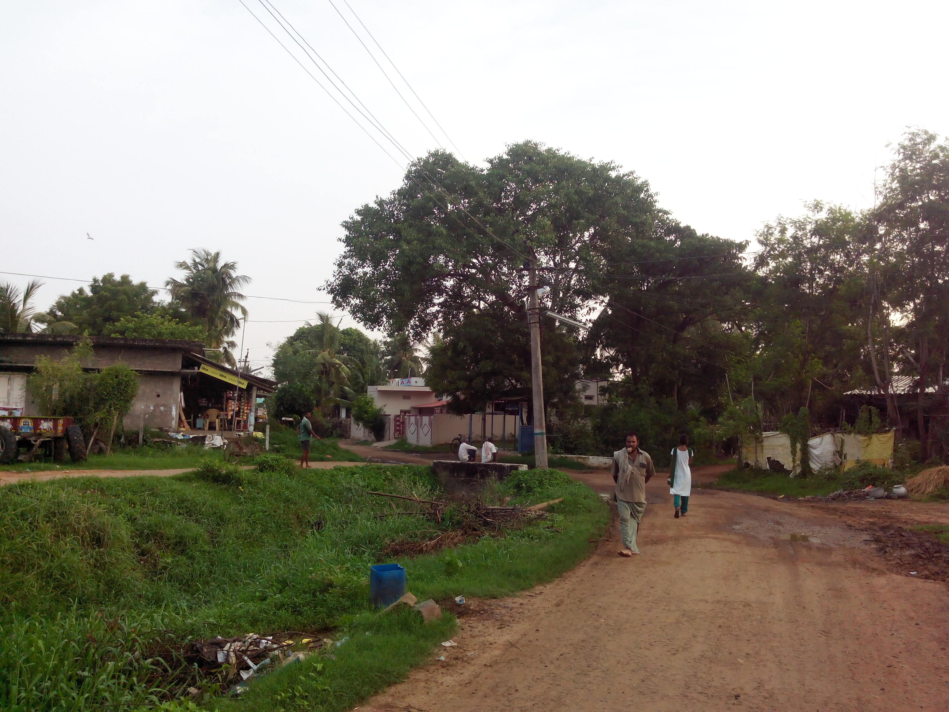 Putlacheruvu Raagi Chettu Circle Main Road