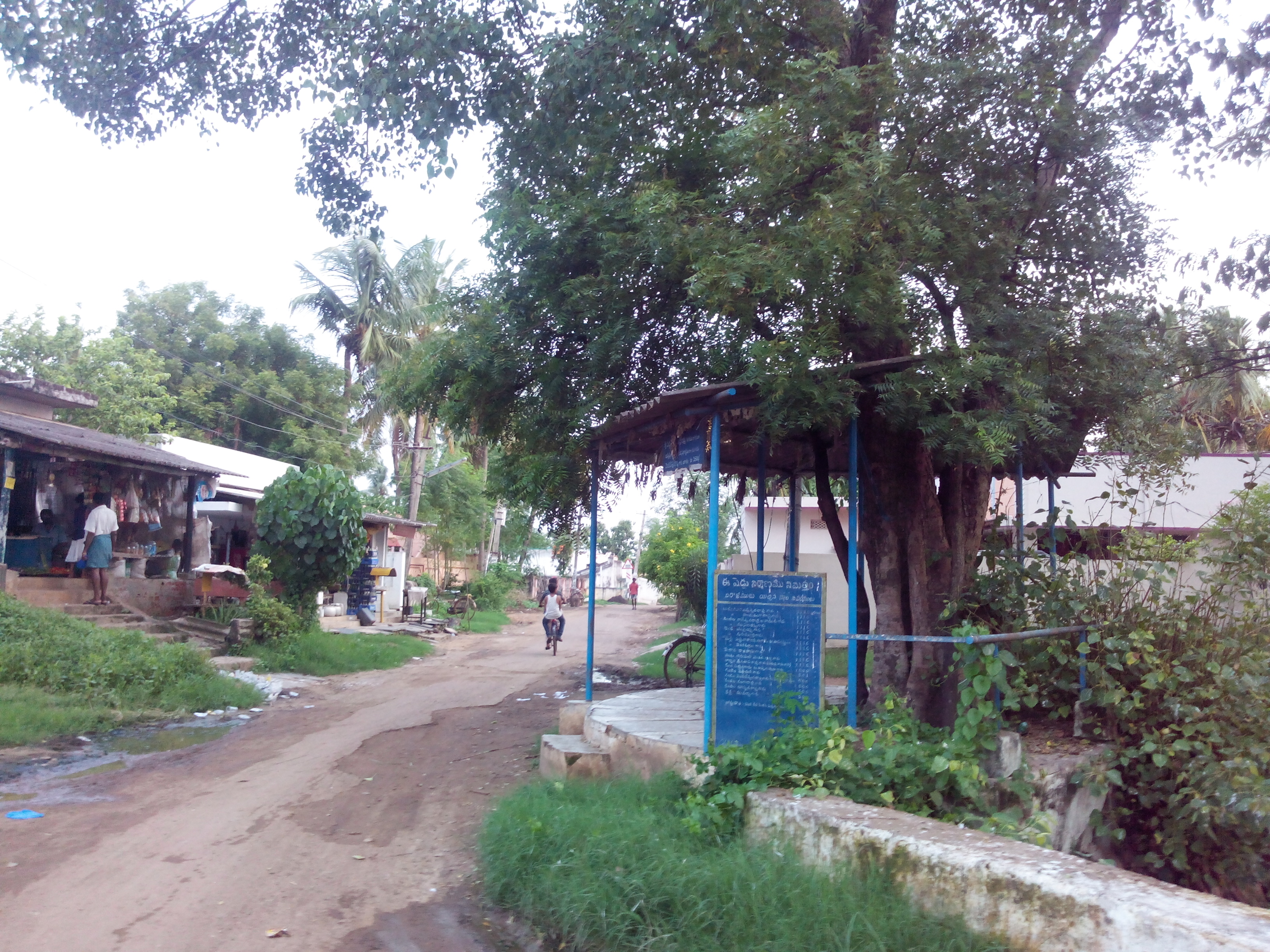 Putlacheruvu Raagi Chettu Circle Main Road