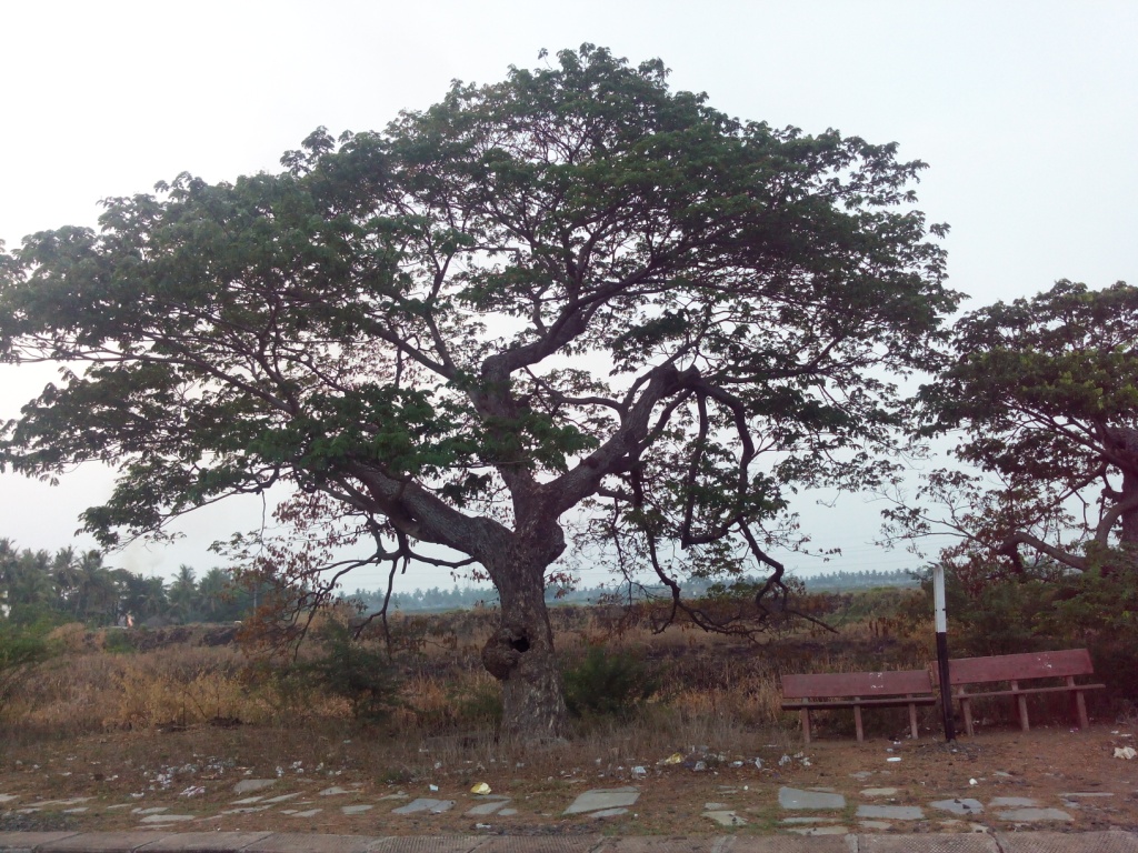 Putlacheruvu Railway Station Platform No 2