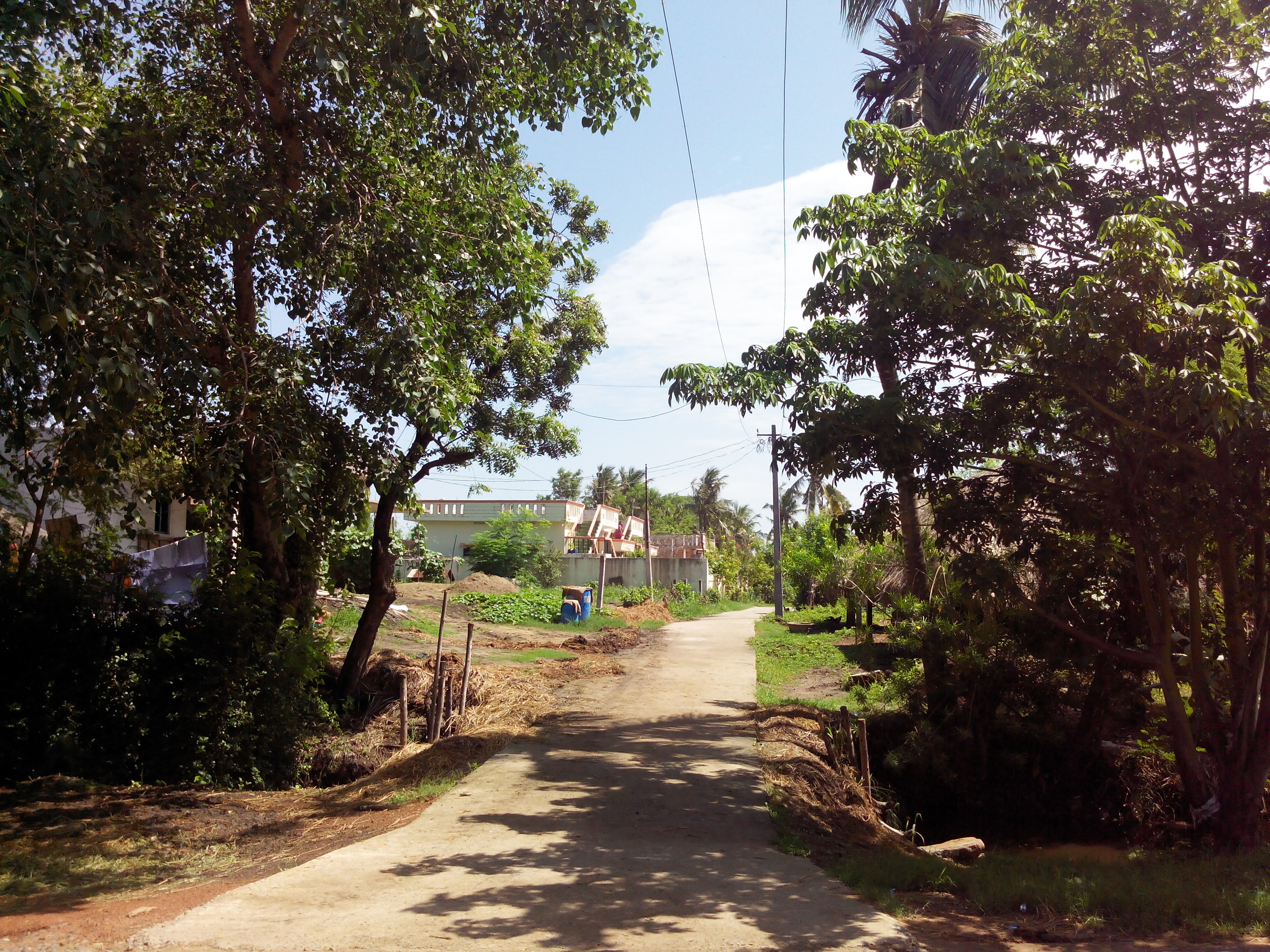 Village President Street