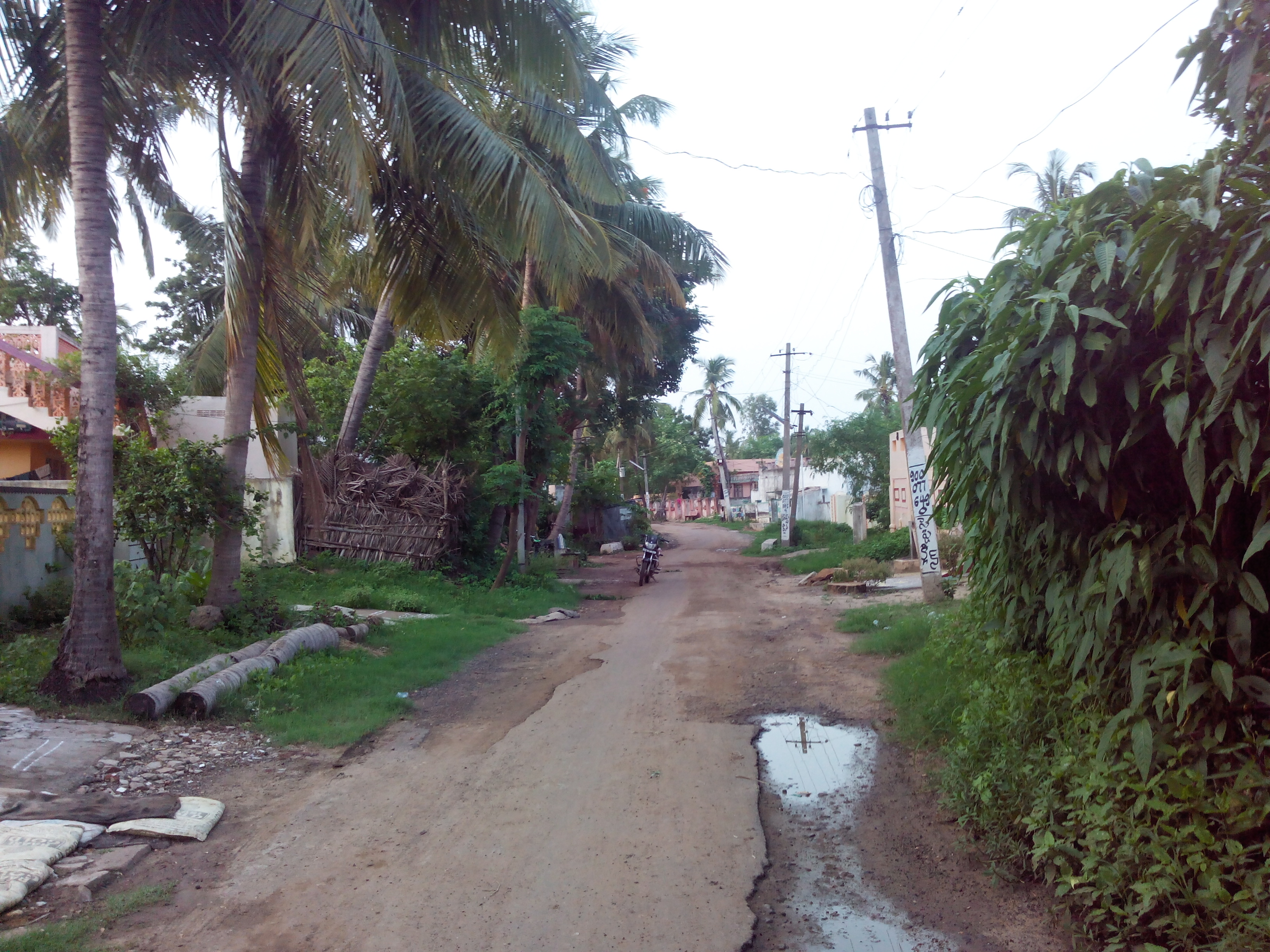 Putlacheruvu Towards Bendi Vari Veedi