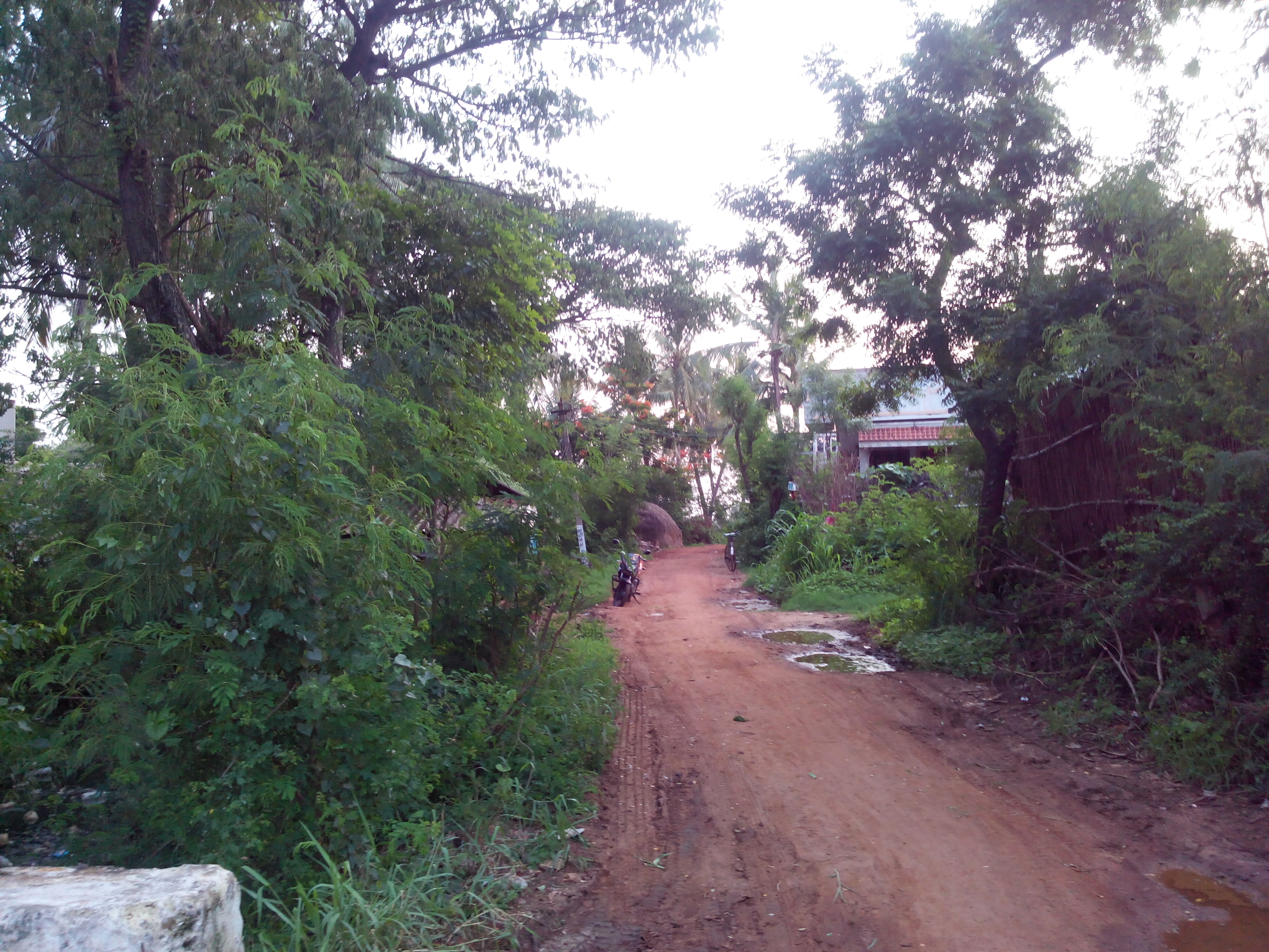 Putlacheruvu Main Road Near Raagi Chettu Center towards Pasalapudi Road