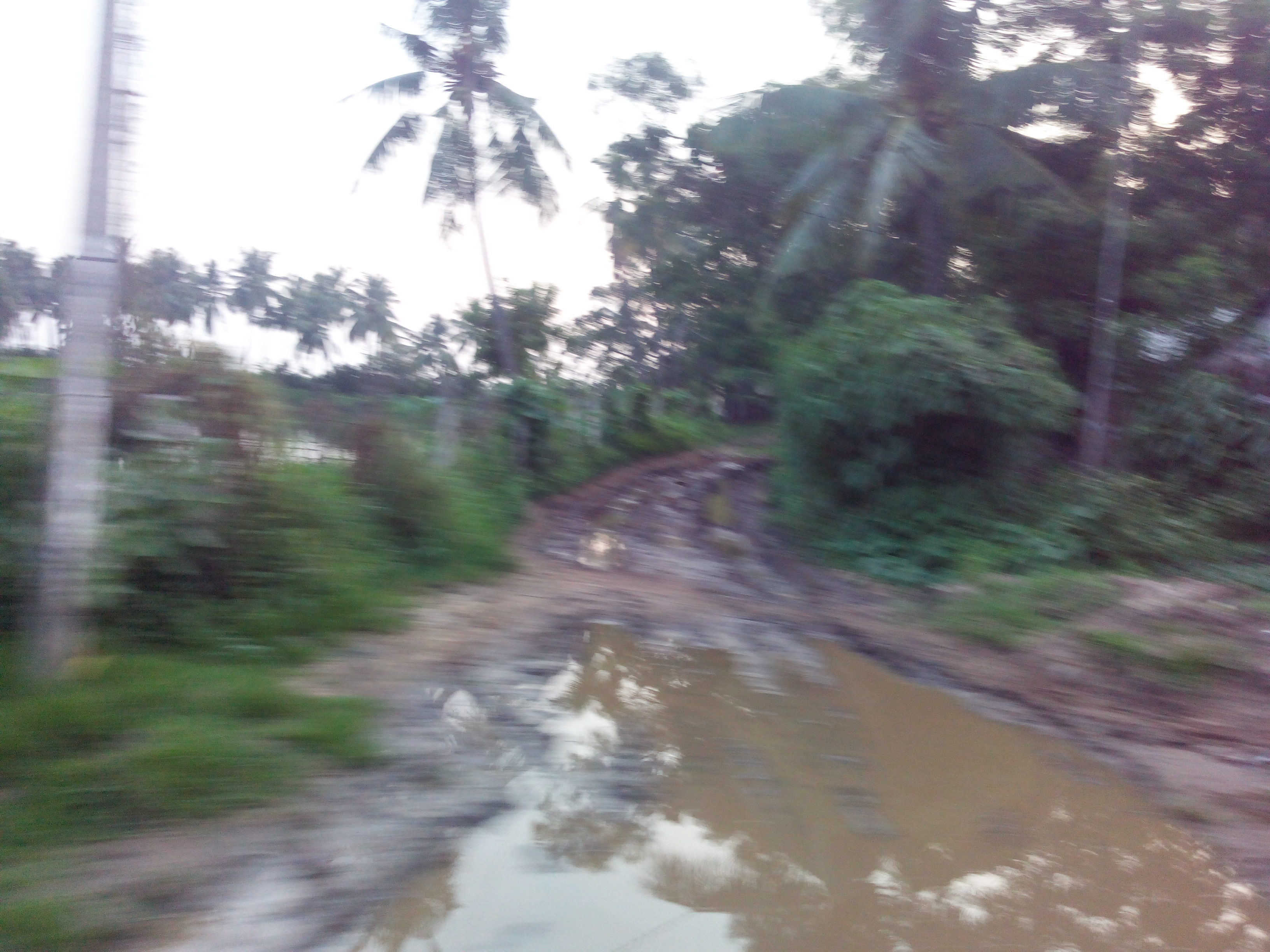 Putlacheruvu Main Road Near Ramalayam Temple