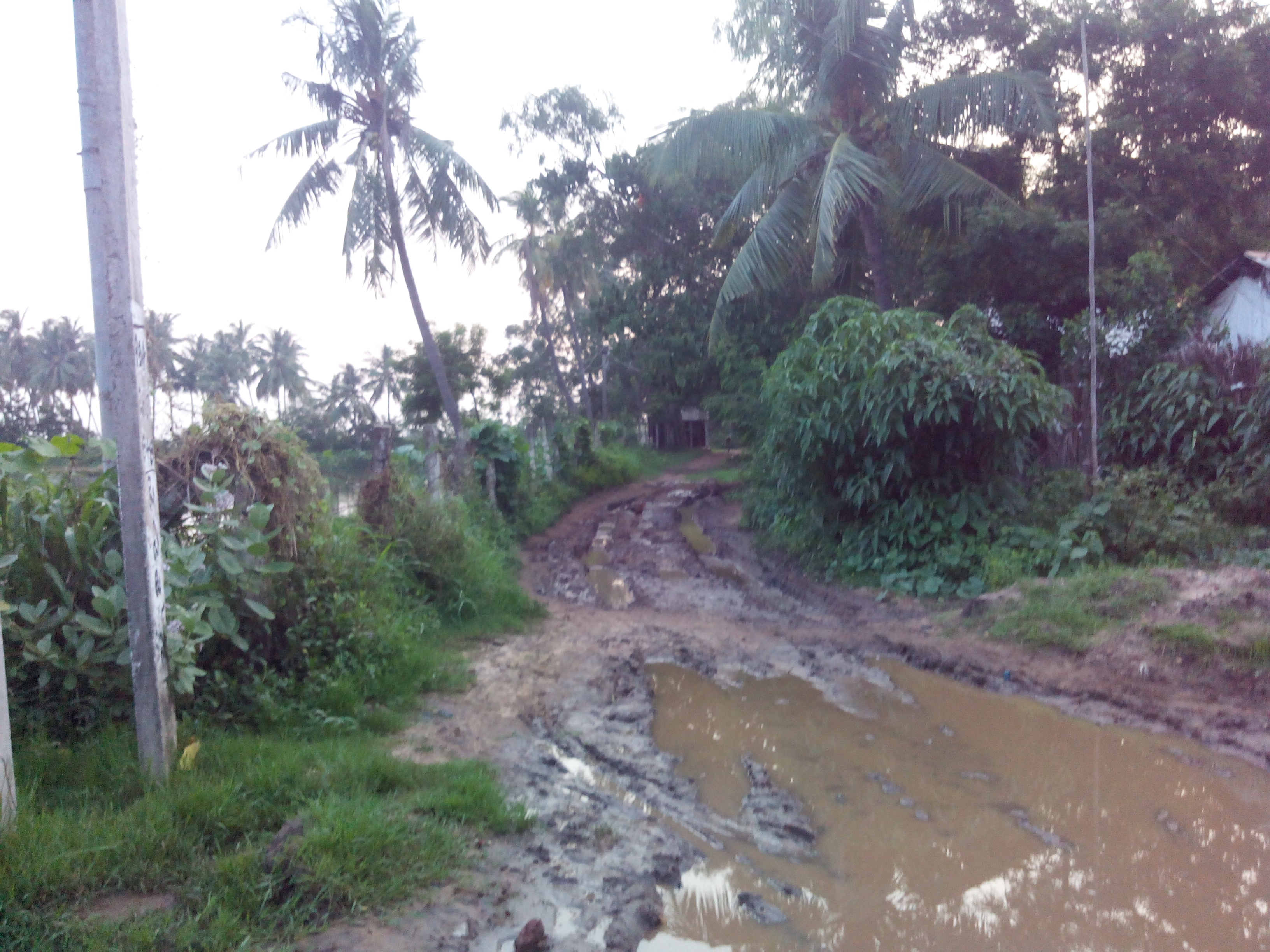 Putlacheruvu Main Road Near Ramalayam Temple