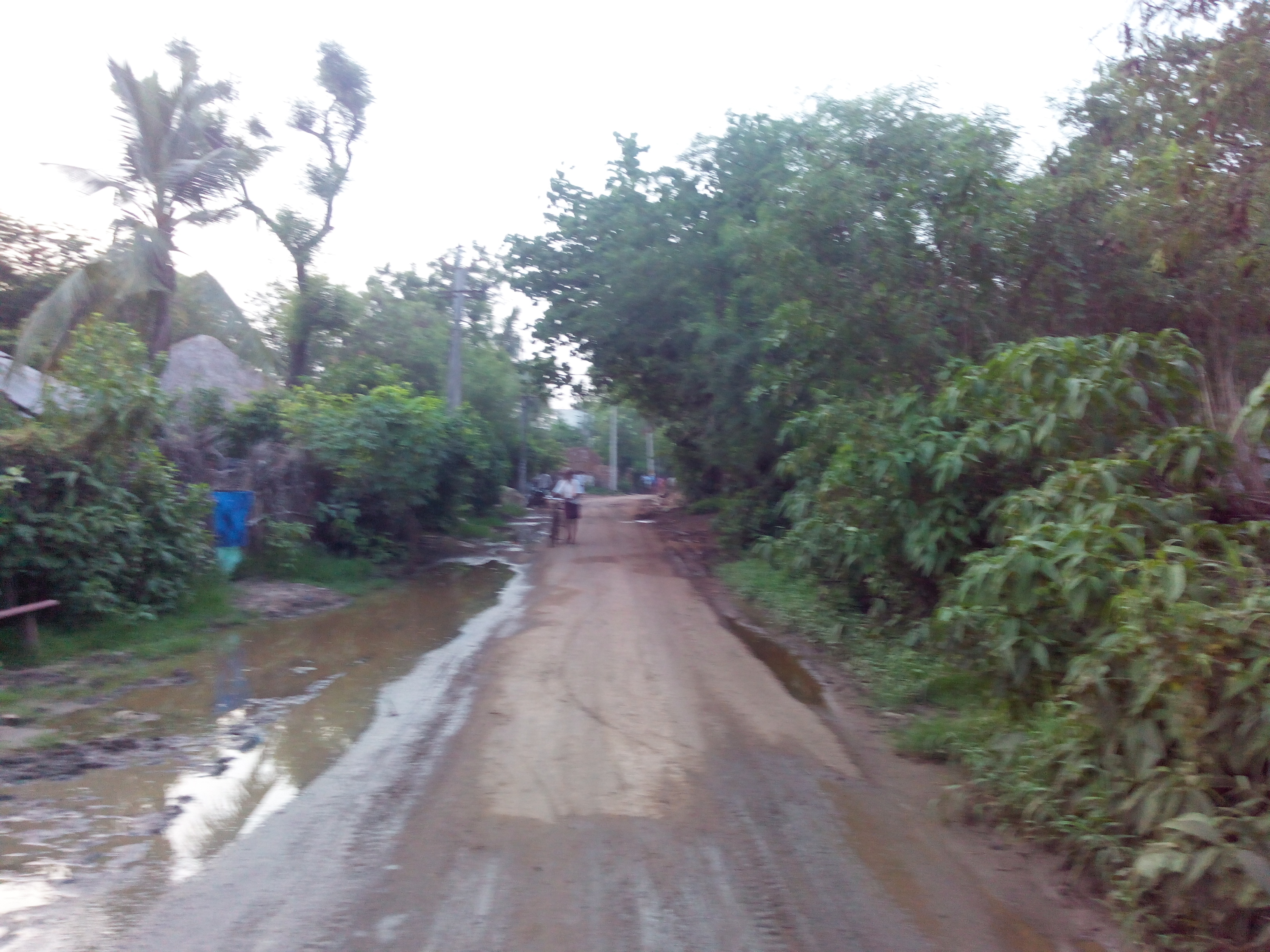 Putlacheruvu Main Road towards Gollagudem