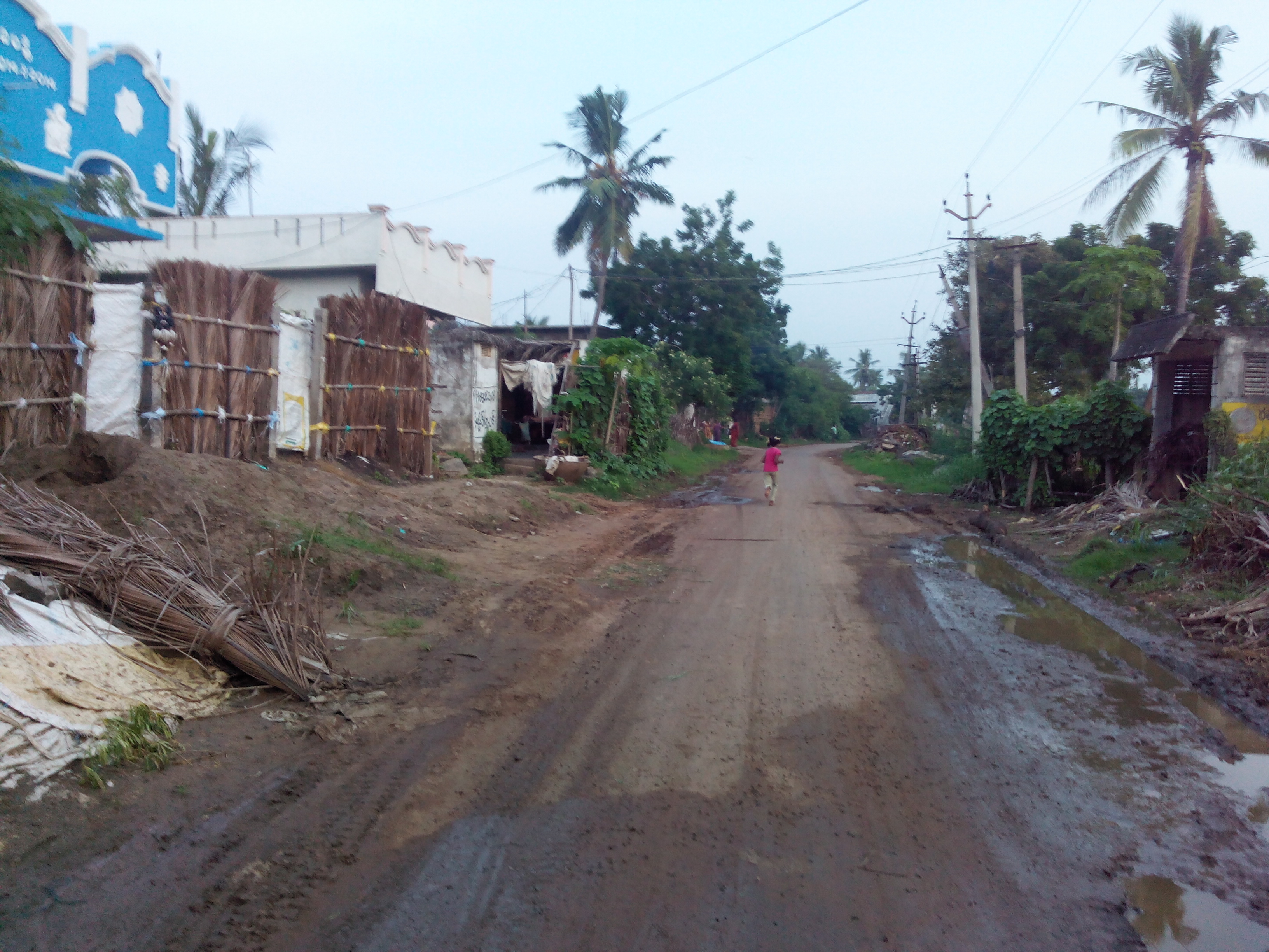 Putlacheruvu Main Road Near Rama Temple Moola Vari Veedi Near Bus-Stop