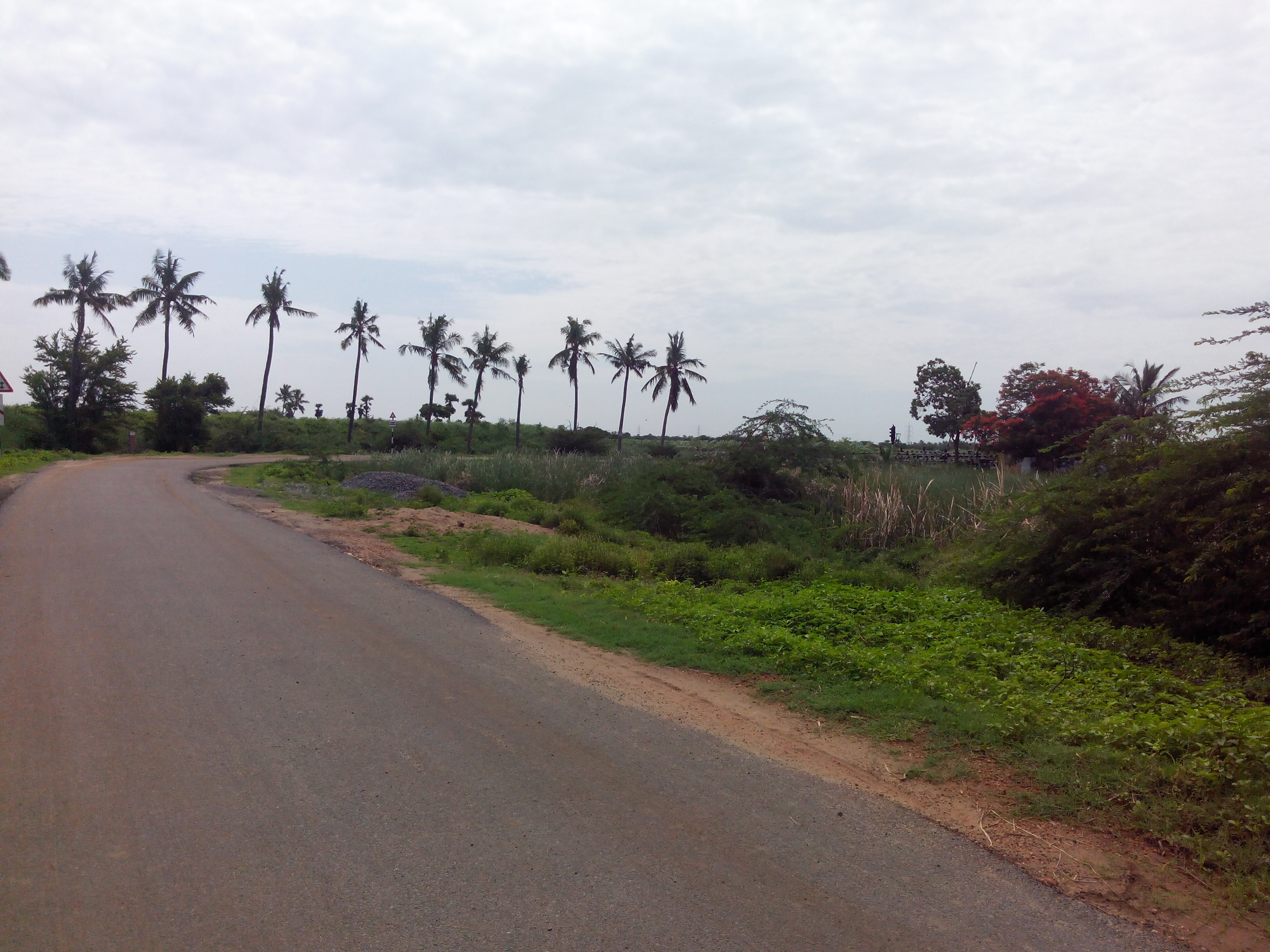 Putlacheruvu Main Road Enterance from Kanukollu Way Road