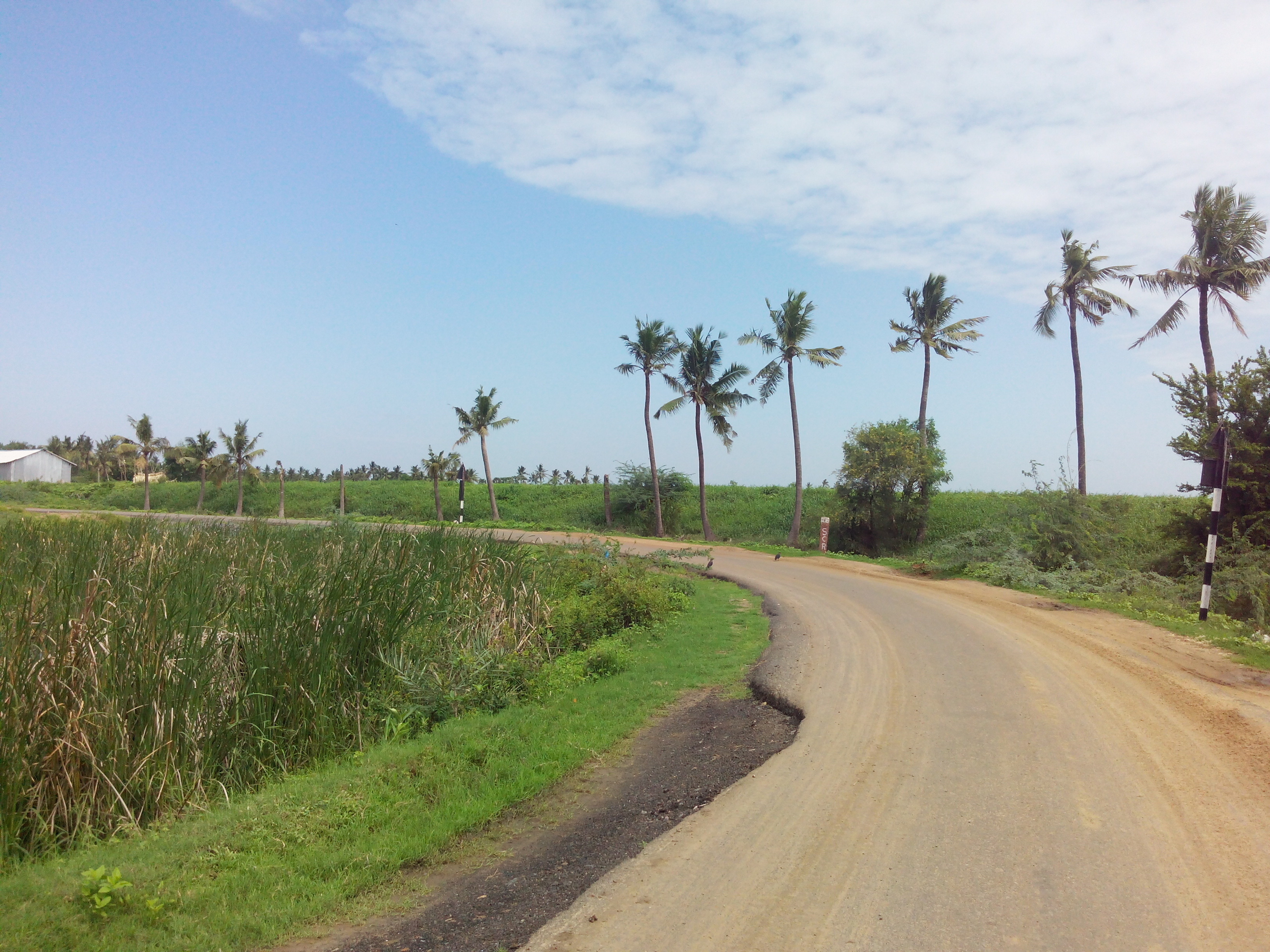 Putlacheruvu Main Road Enterance from North Railway Gate Inside View