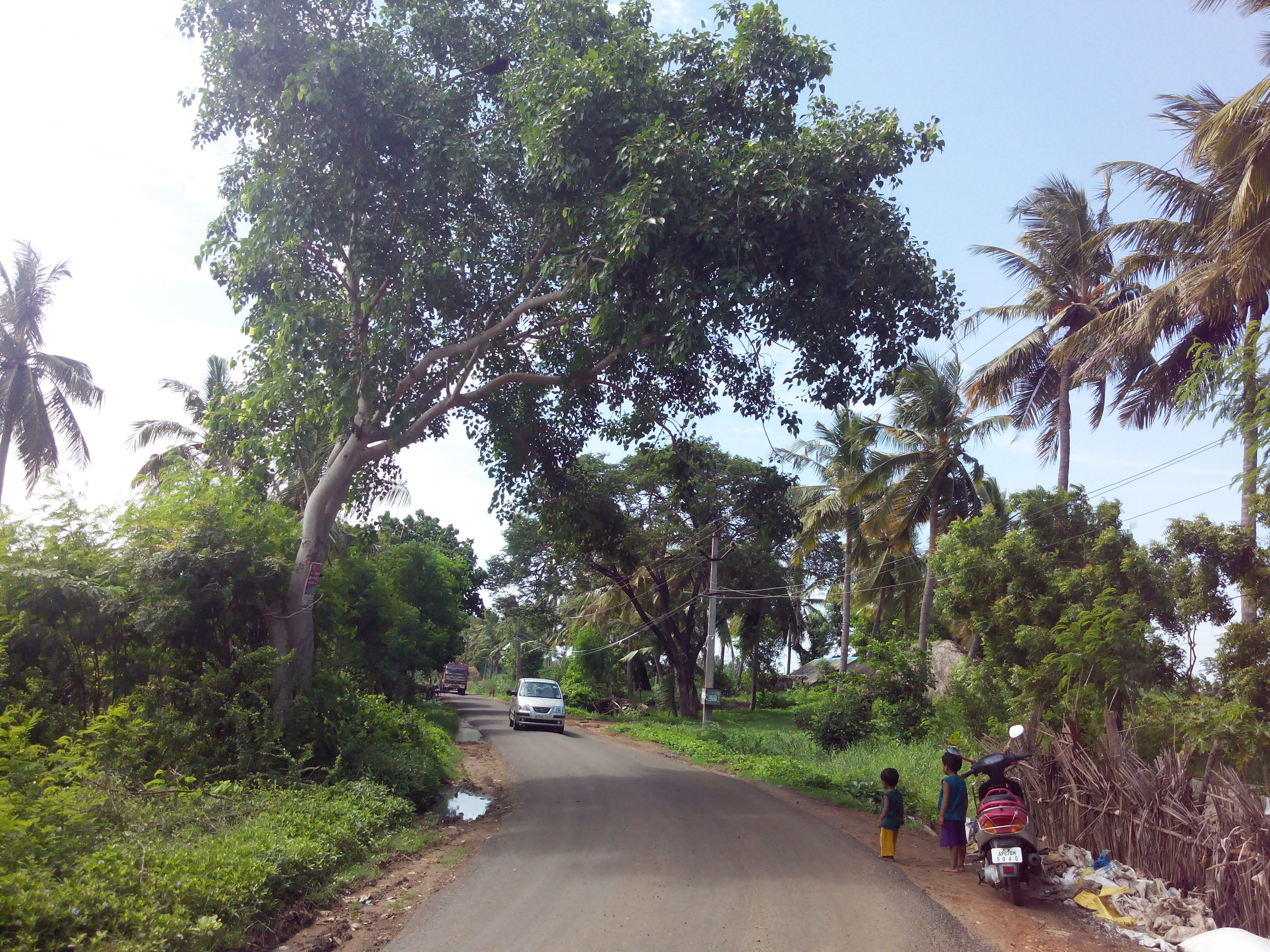 Putlacheruvu Main Road Near Sai Baba Temple