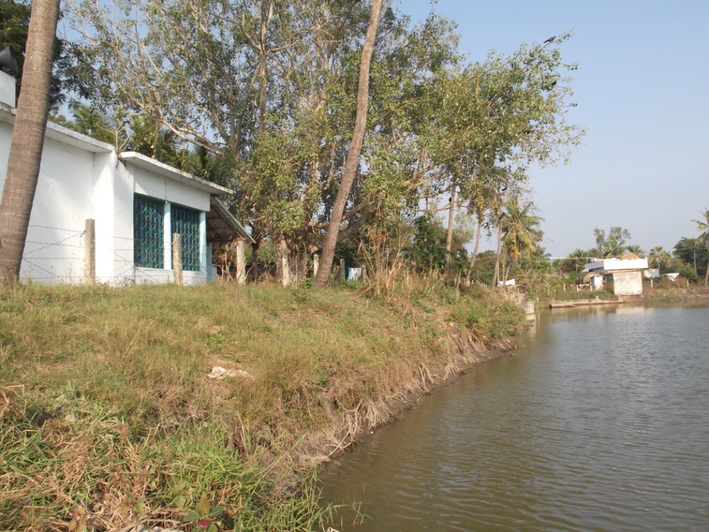 Putlacheruvu Ramalayam